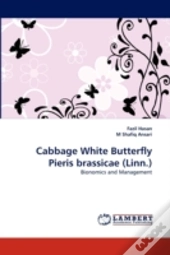Cabbage White Butterfly Pieris Brassicae (Linn.)