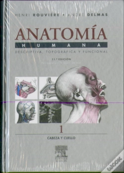 Capa do artigo Cabeza Y Cuello