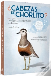 Capa do artigo Cabezas De Chorlito Inteligencia E Innovacion En Las Aves