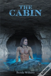 Capa do artigo Cabin