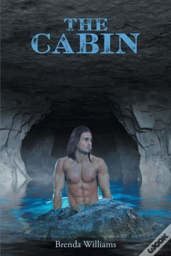 Capa do artigo Cabin
