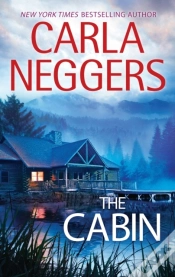 Capa do artigo Cabin