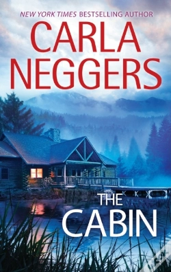 Capa do artigo Cabin
