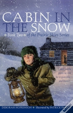 Capa do artigo Cabin In The Snow