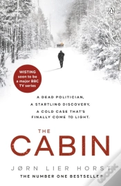 Capa do artigo Cabin
