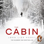 Capa do artigo Cabin