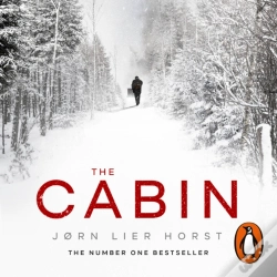 Capa do artigo Cabin