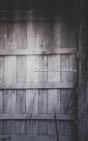 Cabin Number 4 - Preview