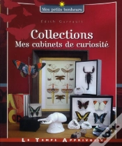 Capa do artigo Cabinets De Curiosite