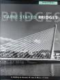 Cable Stayed Bridges - Preview