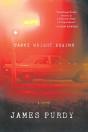 Cabot Wright Begins - Preview