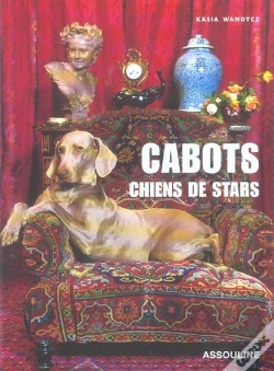 Capa do artigo Cabots, Chiens De Stars