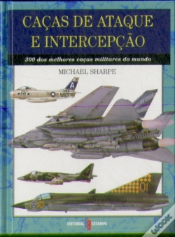 Capa do artigo Caças de Ataque e Intercepção