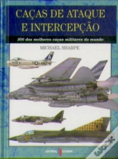 Caças de Ataque e Intercepção