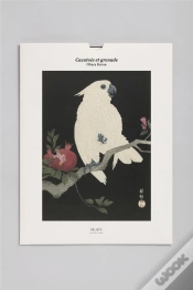 Capa do artigo Cacatoès Et Grenade