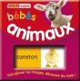 Cache-Cache : Bebes Animaux - Preview