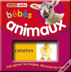 Capa do artigo Cache-Cache : Bebes Animaux