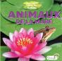 Cache-Cache Dans La Nature : Animaux De La Mare - Preview