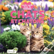 Capa do artigo Cache-Cache Dans La Nature : Chats Et Chatons