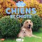 Cache-Cache Dans La Nature : Chiens Et Chiots - Preview
