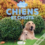 Capa do artigo Cache-Cache Dans La Nature : Chiens Et Chiots