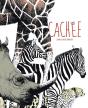 Cachée - Preview