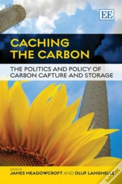 Capa do artigo Caching The Carbon