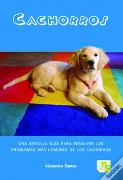 Capa do artigo Cachorros  