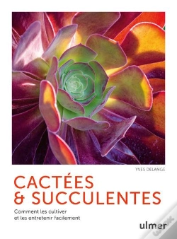 Capa do artigo Cactees Et Succulentes