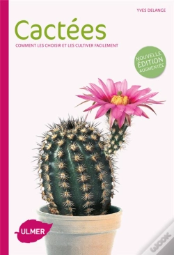 Capa do artigo Cactees