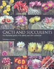 Capa do artigo Cacti And Succulents