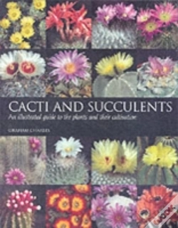 Capa do artigo Cacti And Succulents