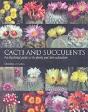 Cacti And Succulents - Preview