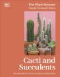 Cacti And Succulents - Preview