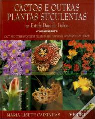 Cactos e Outras Plantas Suculentas