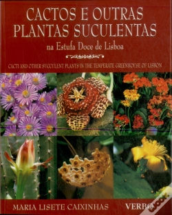 Capa do artigo Cactos e Outras Plantas Suculentas