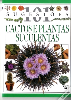 Capa do artigo Cactos e Plantas Suculentas