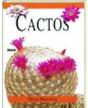 Cactos - Preview