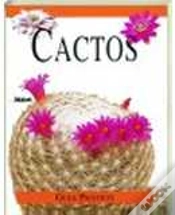 Capa do artigo Cactos