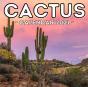 Cactus Calendar 2021 - Preview