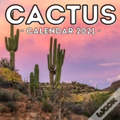 Capa do artigo Cactus Calendar 2021