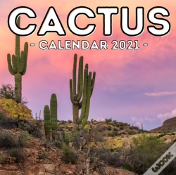 Capa do artigo Cactus Calendar 2021