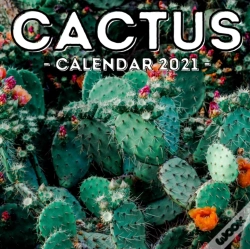 Capa do artigo Cactus Calendar 2021