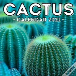 Capa do artigo Cactus Calendar 2021