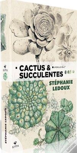 Capa do artigo Cactus & Succulentes