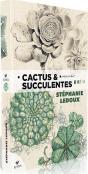 Cactus & Succulentes - Preview