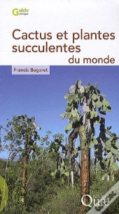 Cactus Et Plantes Succulentes Du Monde