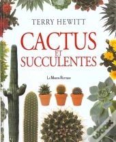Cactus Et Succulentes