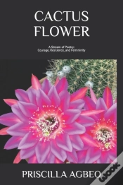 Capa do artigo Cactus Flower