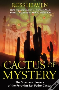 Capa do artigo Cactus Of Mystery